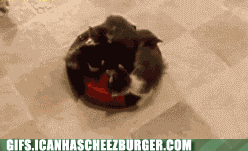 ultimate-transportation