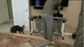 just-gotta-give-a-little-nibble