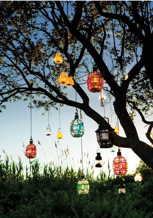 lights-in-trees.jpg