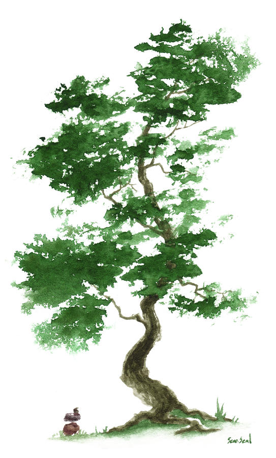little-zen-tree-365-sean-seal.jpg