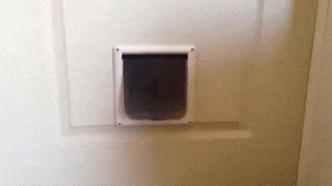 8mkL8wp.gif