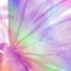 z225518578.png