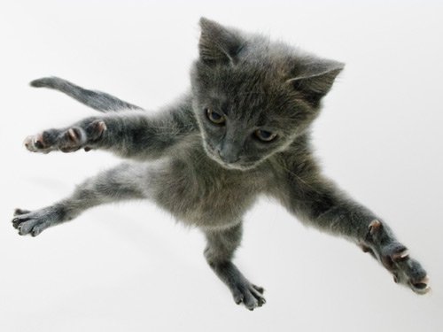 jumping-1.jpg