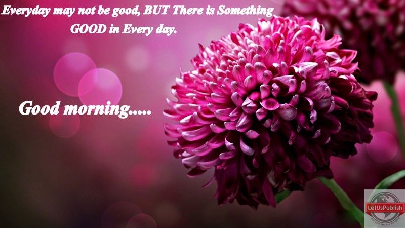 Beautiful-flower-Good-morning-images.jpg