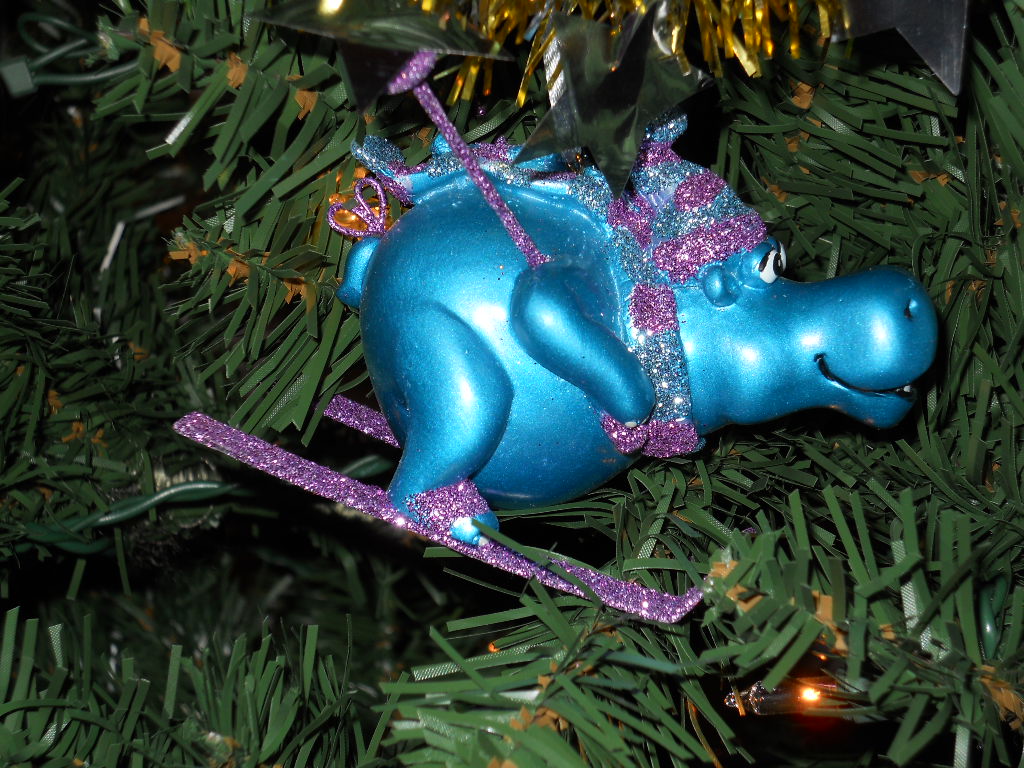 dscn1331.jpg