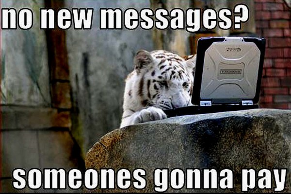 funny-tiger-animal-humor-600x399.jpg