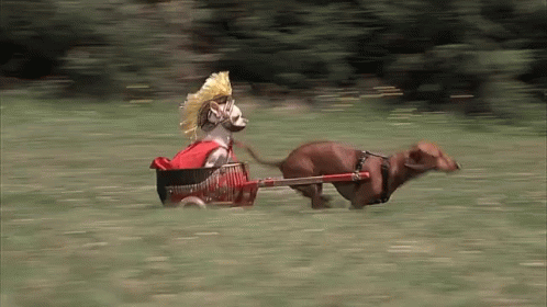 8a2d4a7372c4002ce31c8bff3ea2a4f8.gif