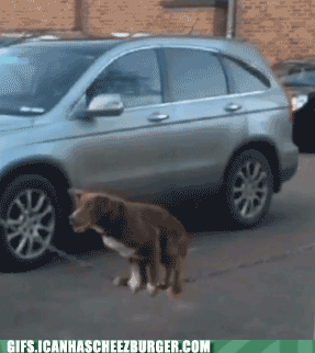 BSUYBOTBUUa0kXz_RIATbw2.gif