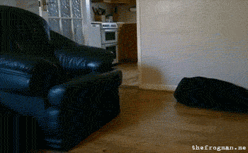 wgABVGJ.gif