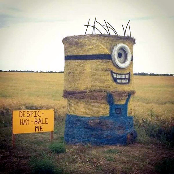 minion-hay-bale.jpg