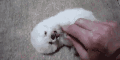 GHTa88x.gif