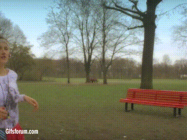 OOvi9Ss.gif