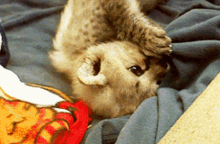 sleep-tight-goodnight.gif