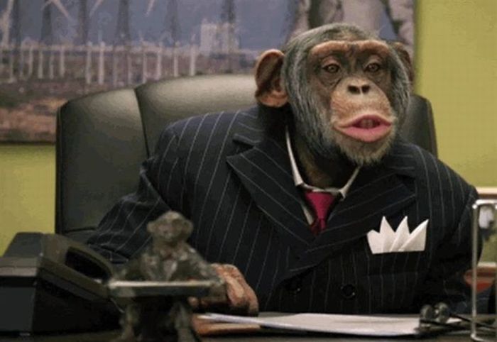 monkey-business.jpg