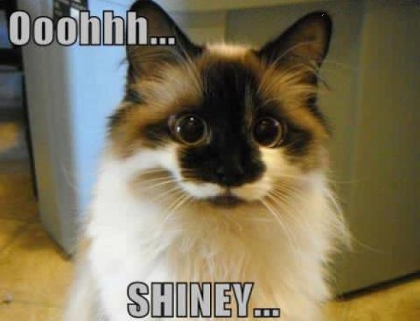 so-shiny-7455.jpg