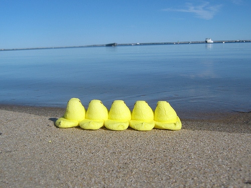 beach_peeps.jpg