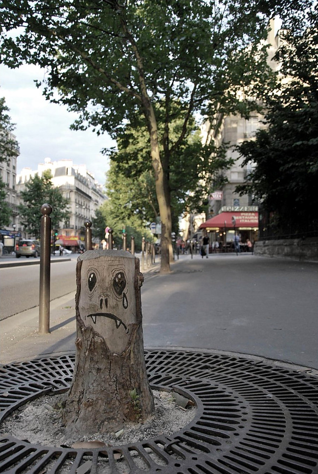 sad-tree-stump_sm.jpg