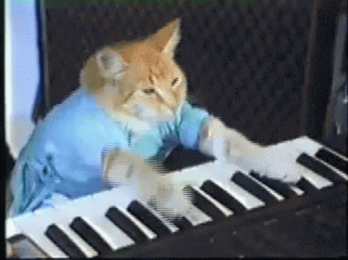 cat-playing-piano-funny.gif