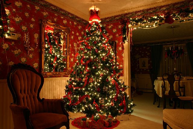 tree-cyfDP9hV.jpg