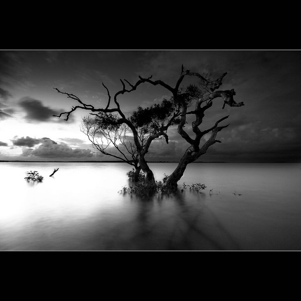 ff9f790cb35204a08fb0502b2f6cb995.jpg
