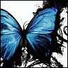 z76519813.gif