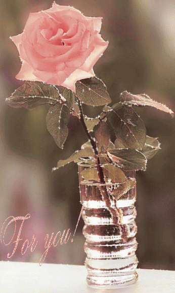 829894e9c53a50550bd09e577b1b5b89.gif