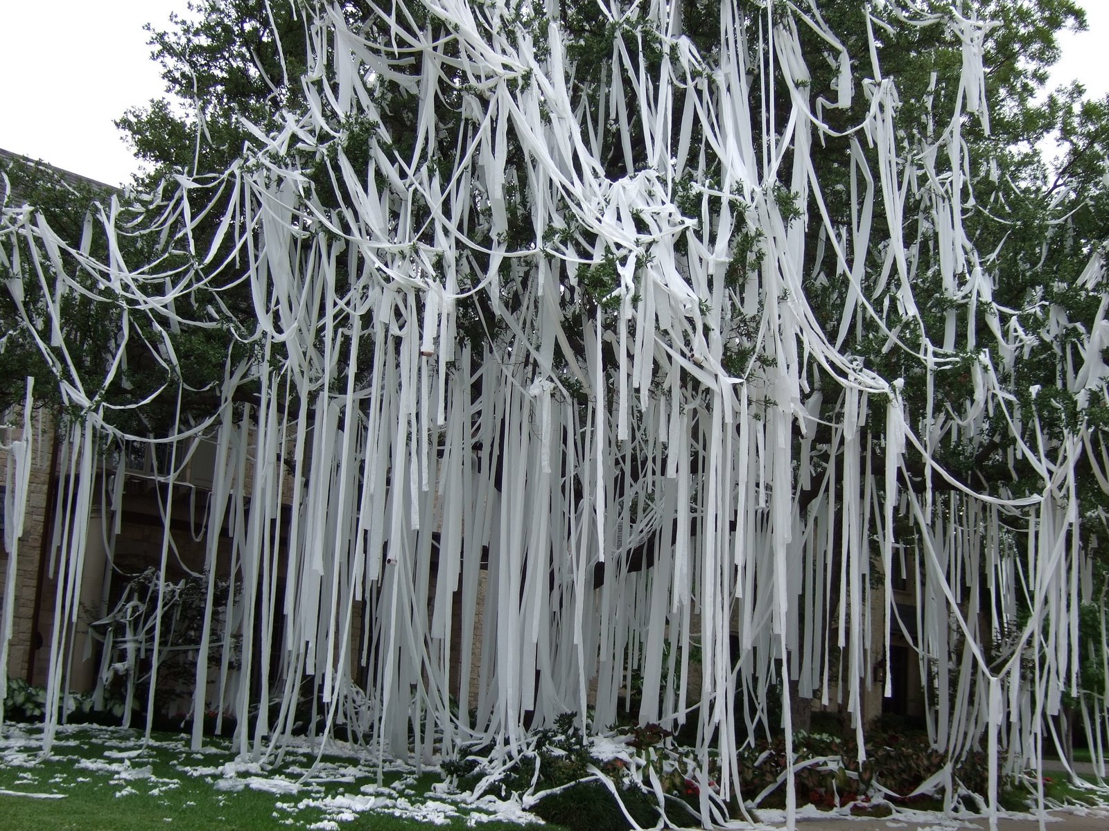 TP.JPG