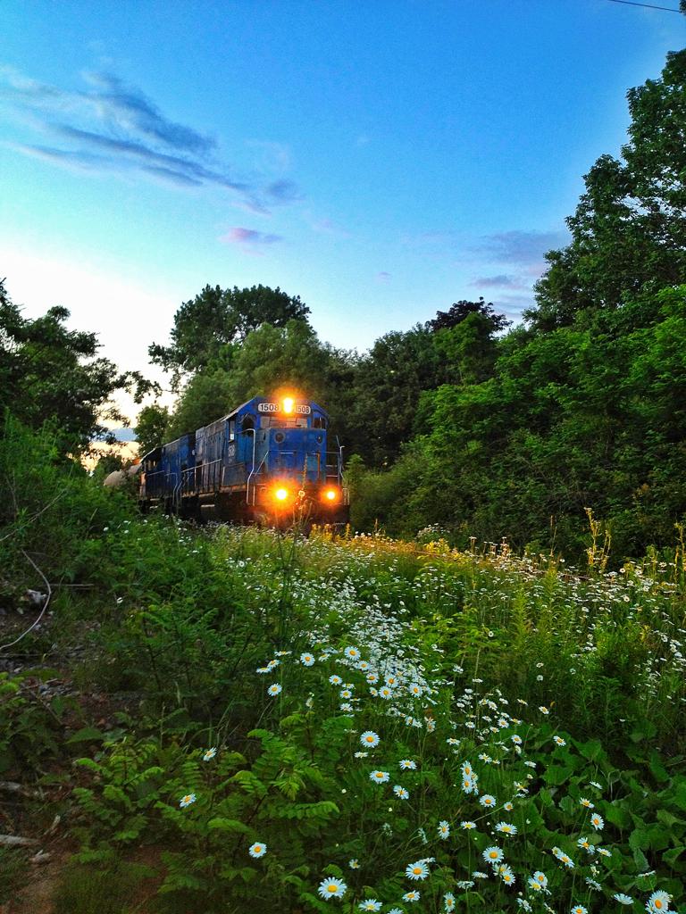 Nlzrr.jpg