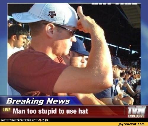 stupid-people-hat-285448.jpeg