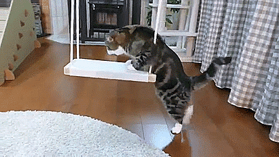57f76ef3f5938edbe7832d22d420cad7.gif