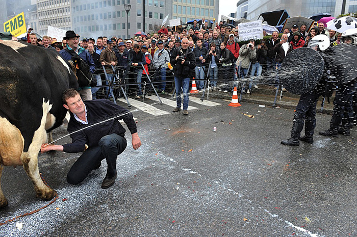 udder-blasts-cops.jpg