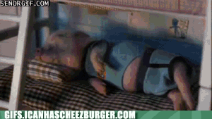 animal-gifs-baby-animal-sleepover