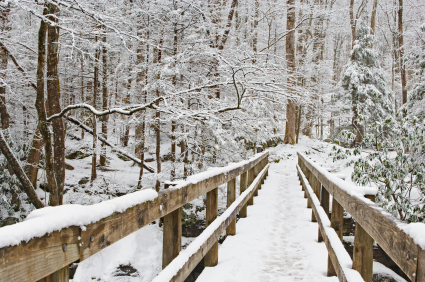 snowy%20bridge.jpg