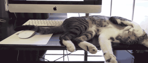 hard-at-work