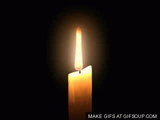 1xs2.gif