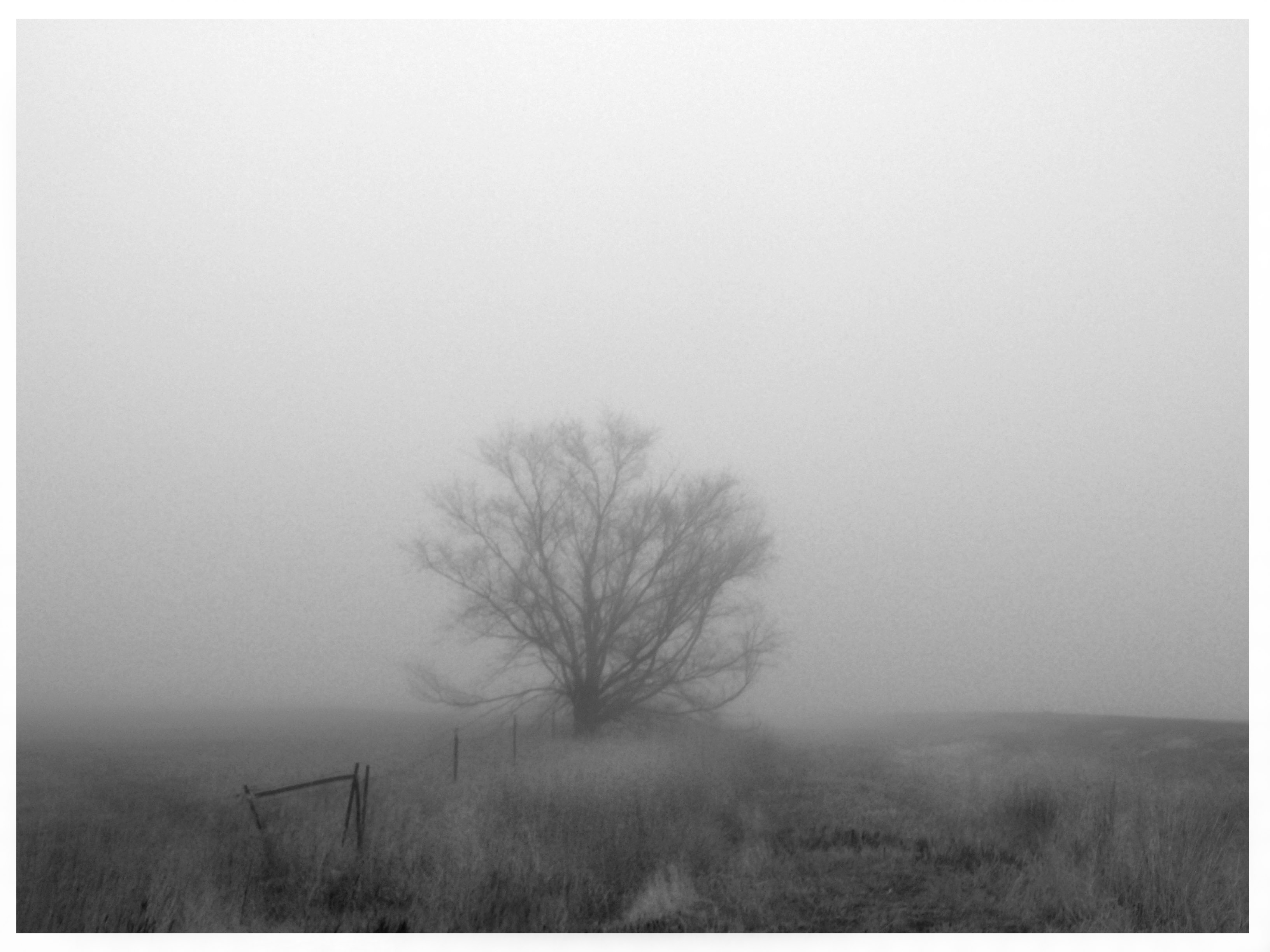 fog8.jpg