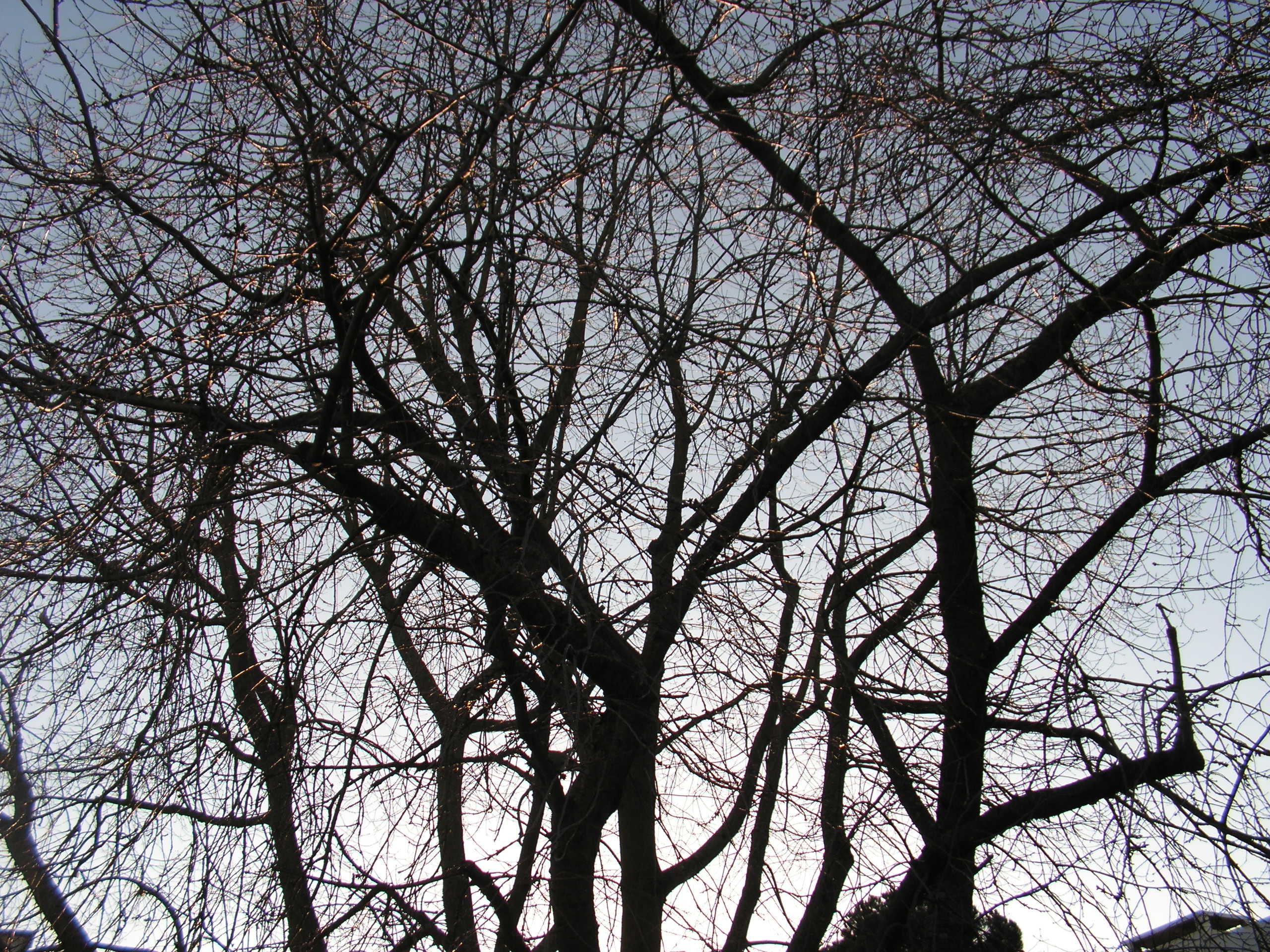pict0443.jpg