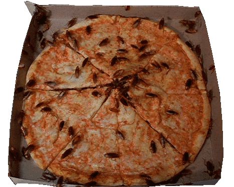ae6444e4d4db80a421b3ebe14e50d25a.gif