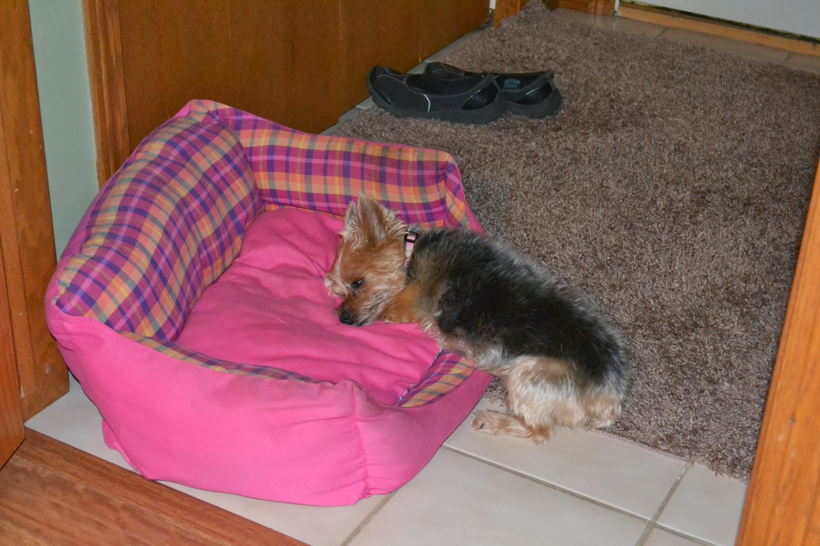 DSC_0152.JPG