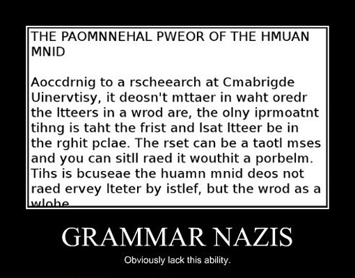 demotivator_grammar-nazis.jpg