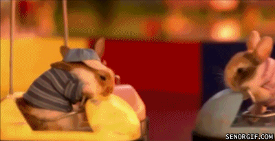 gif-bunneh-bumperz