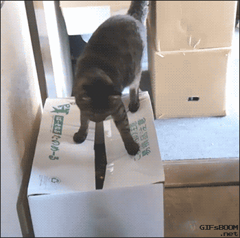 box-collapse.gif