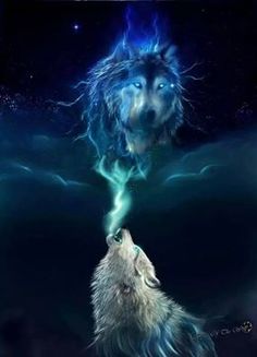 40b605f1bd8bf8a0ea2c22bf7e5d52ff.jpg
