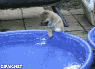 5YJ76Zk.gif