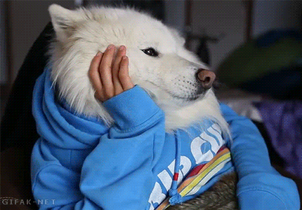 BjcTjR2.gif
