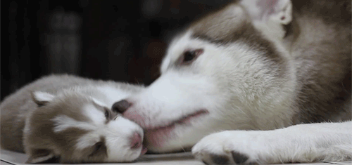 aBWK8rF.gif