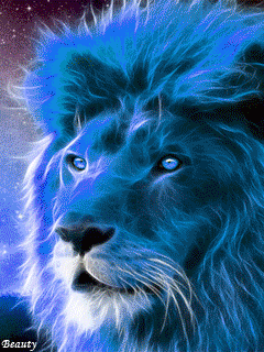 cc25807f712044c9df0eb47d421fd5e9.gif