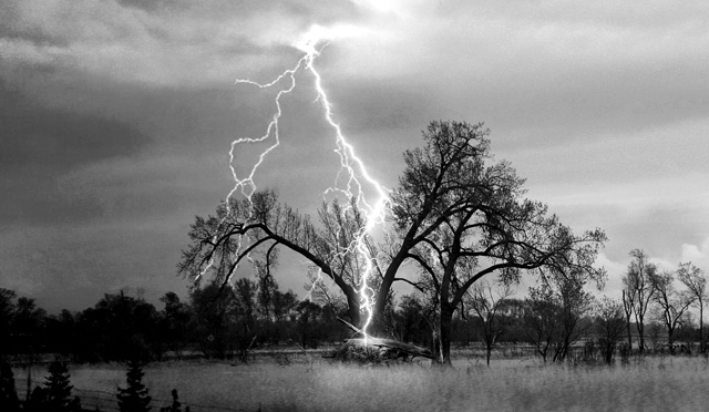 lightning-strikes-tree-video-june-2014.jpg