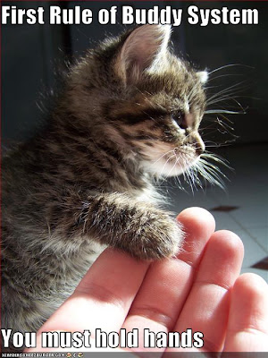buddy+system.jpg