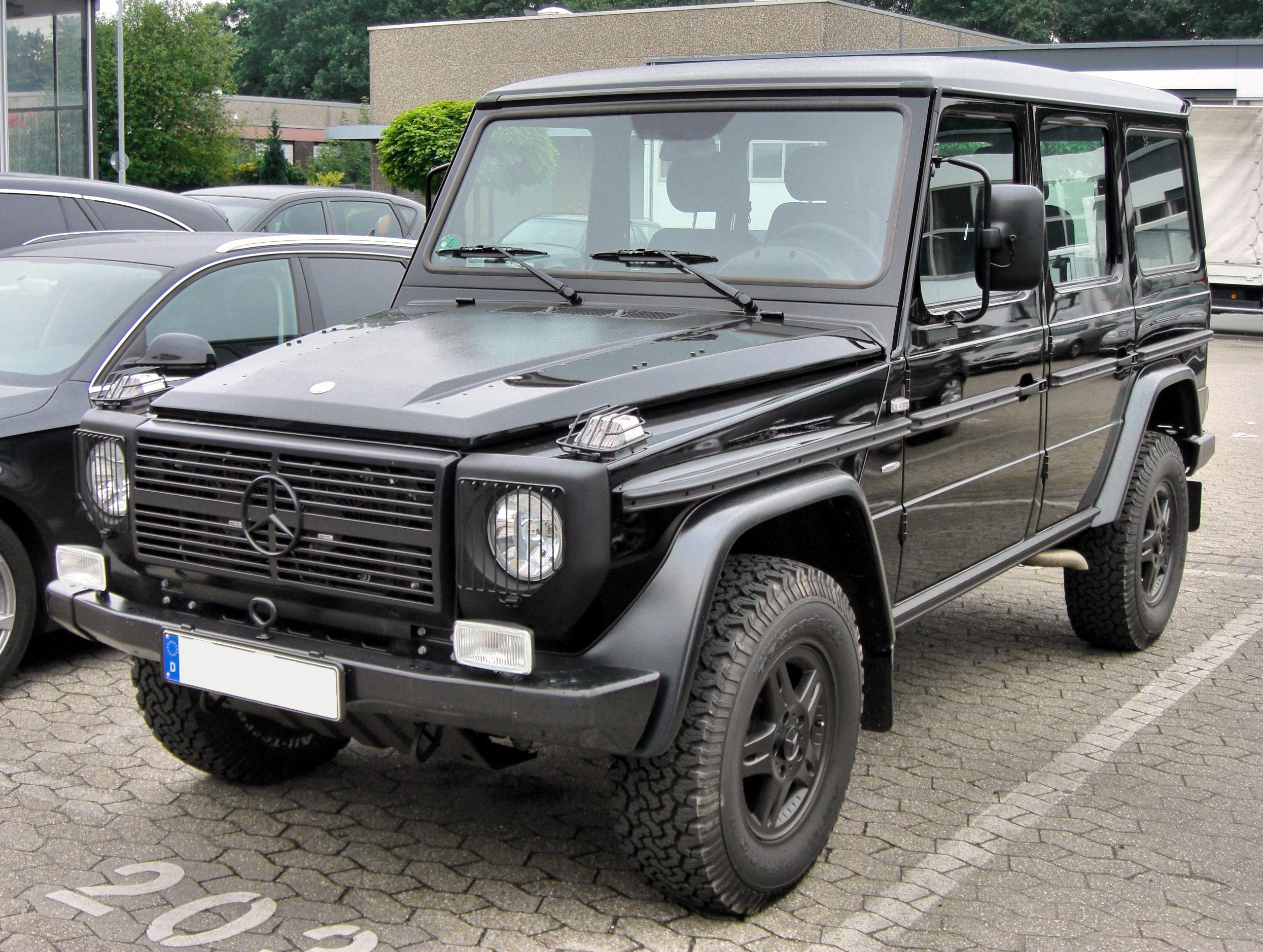 Mercedes_G-Klasse_Edition_Pur_20090808_front.JPG